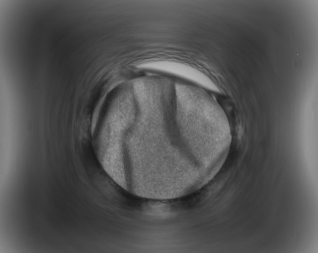 X0000086230325200704261901