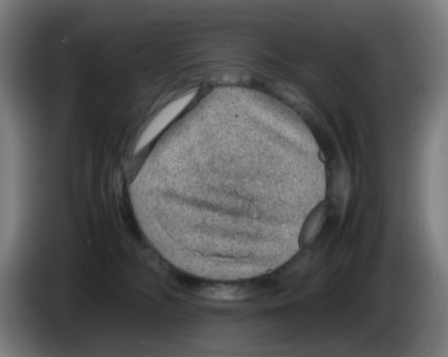 X0000086230326200704261901