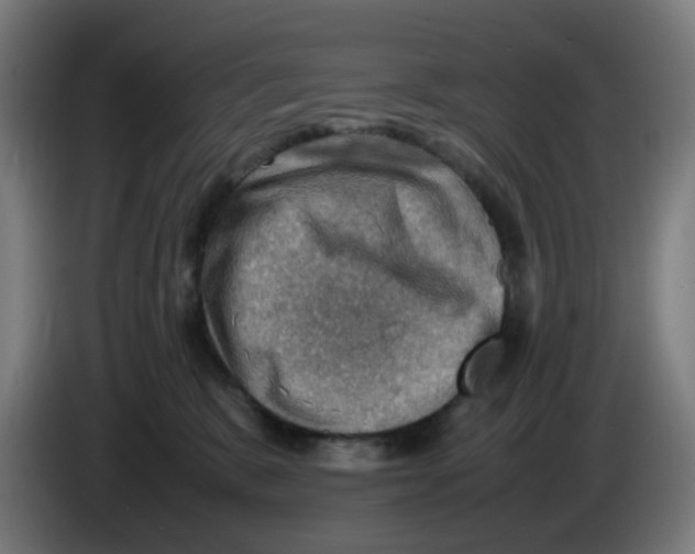 X0000086230327200704261901