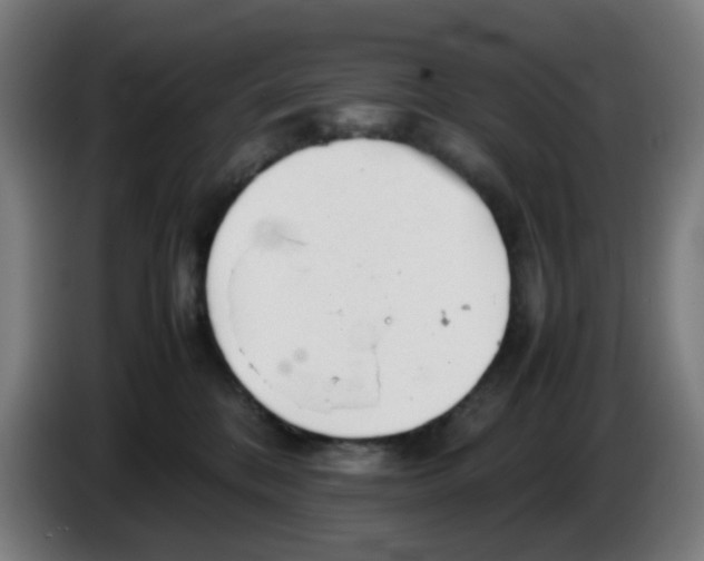 X0000086230328200704261901