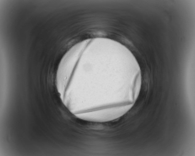 X0000086230330200704261901