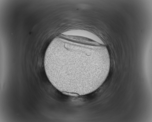 X0000086230331200704261901