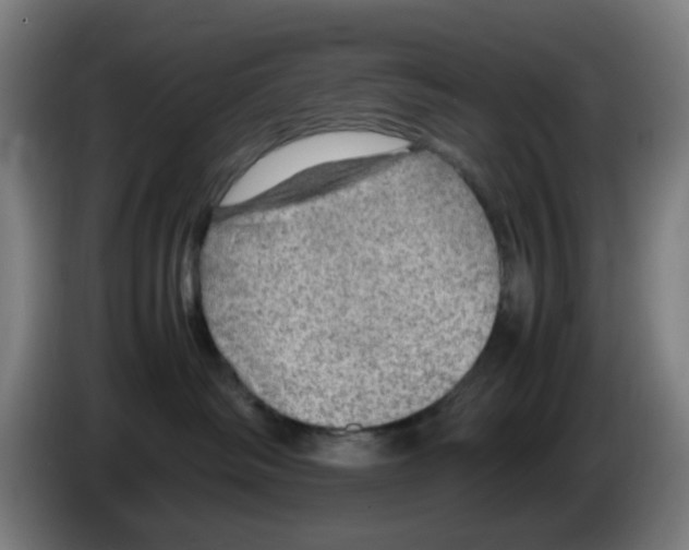 X0000086230334200704261901