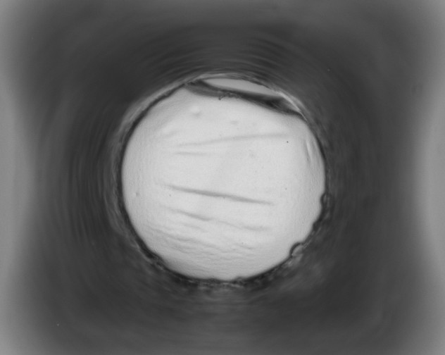 X0000086230337200704261900