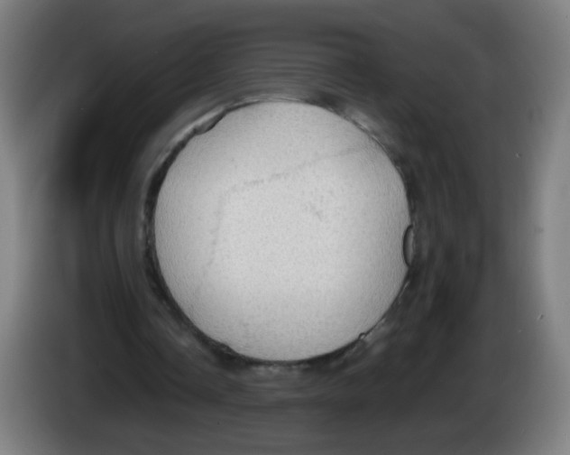 X0000086230338200704261900