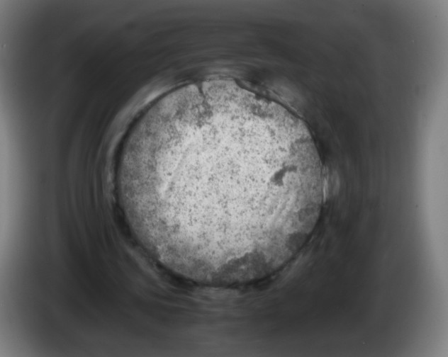 X0000086230339200704261900