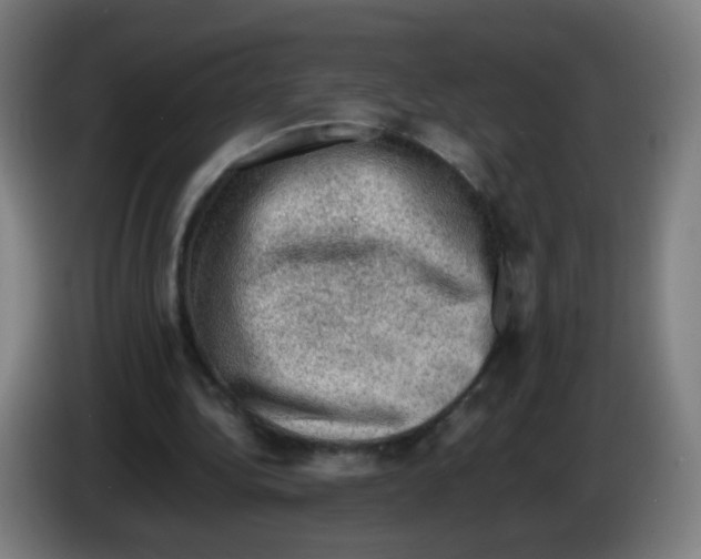 X0000086230340200704261900