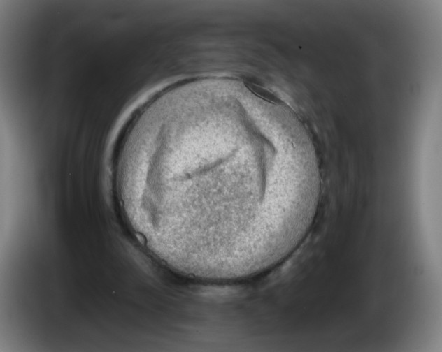 X0000086230342200704261900