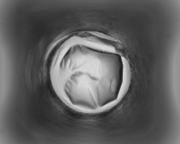 X0000086230343200704261900