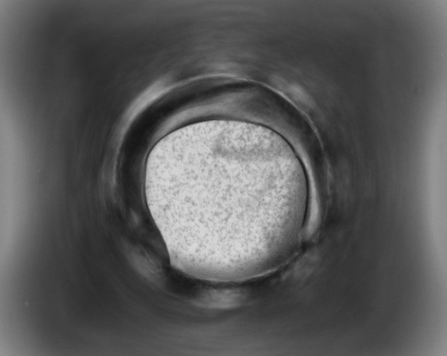 X0000086230344200704261900