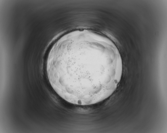 X0000086230346200704261900