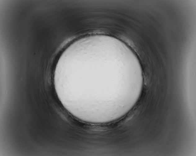 X0000086230347200704261900