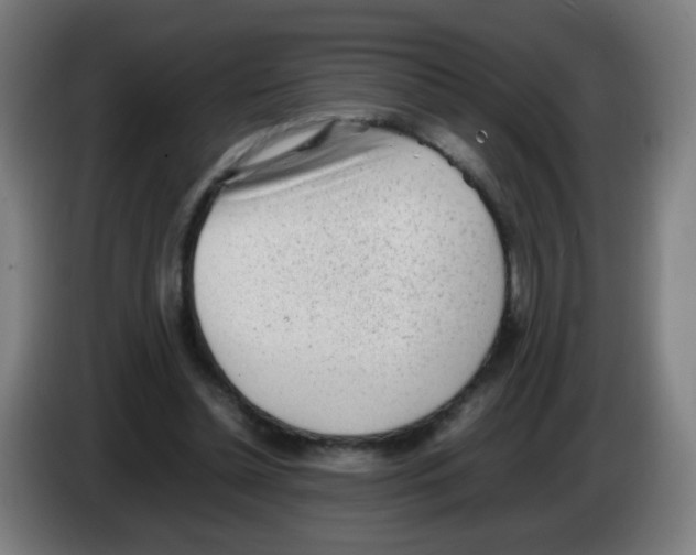 X0000086230348200704261900