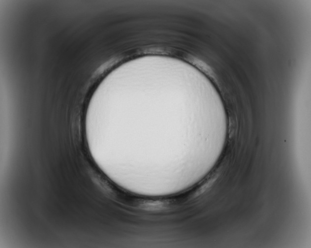 X0000086230349200704261900