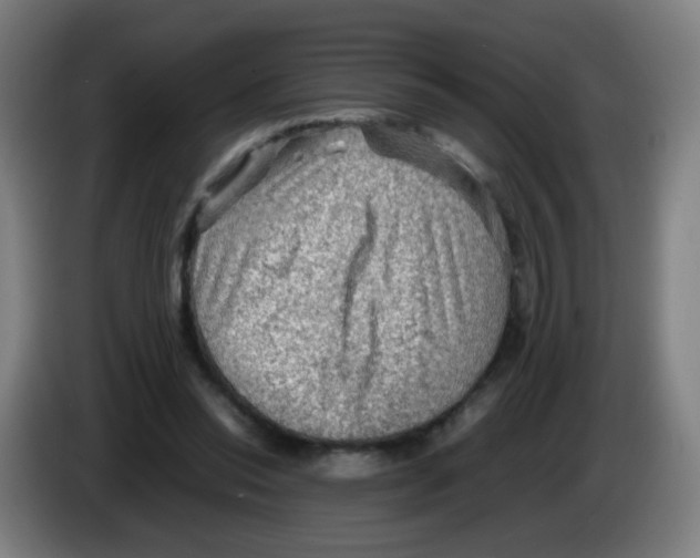 X0000086230350200704261900