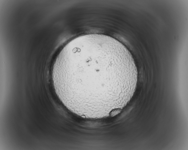 X0000086230351200704261901