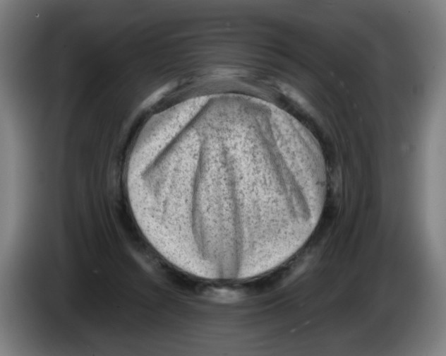 X0000086230352200704261901