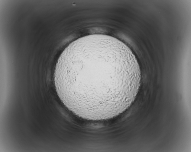 X0000086230353200704261901