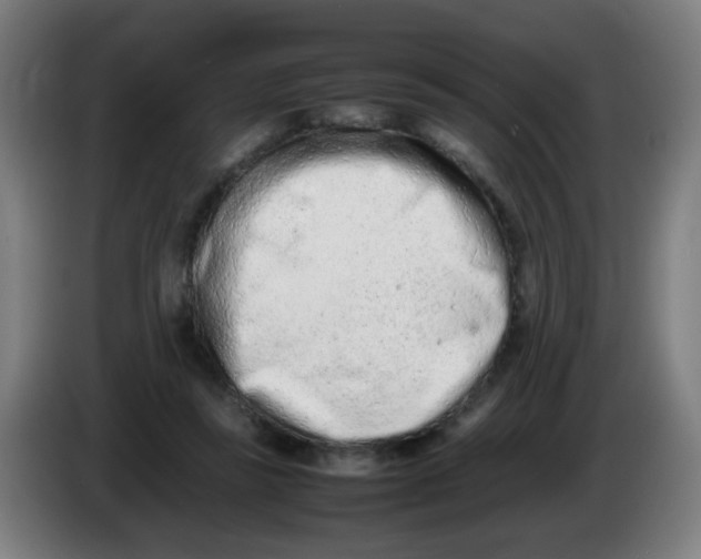 X0000086230355200704261901