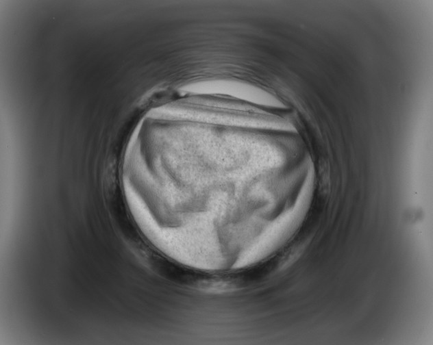 X0000086230356200704261901