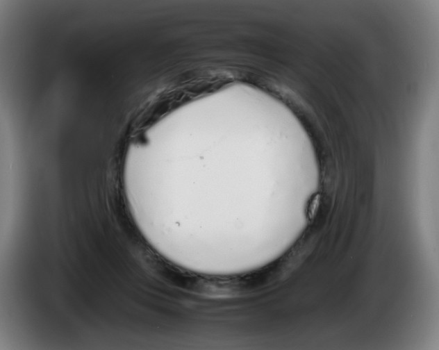 X0000086230359200704261901