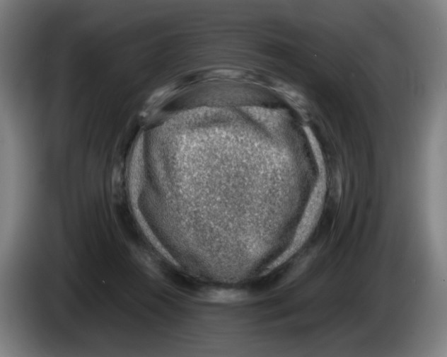 X0000086230360200704261901