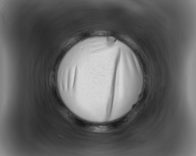 X0000086230361200704261901