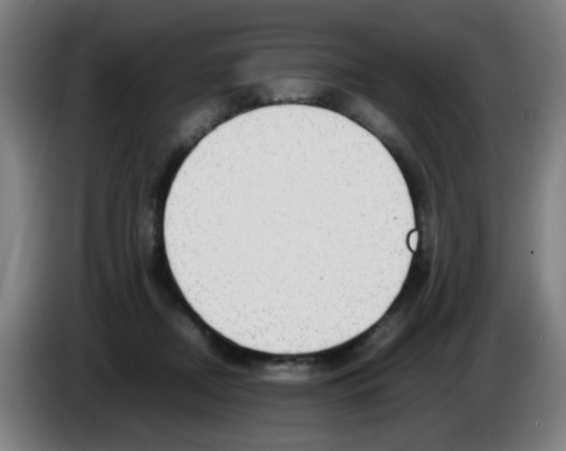 X0000086230362200704261901