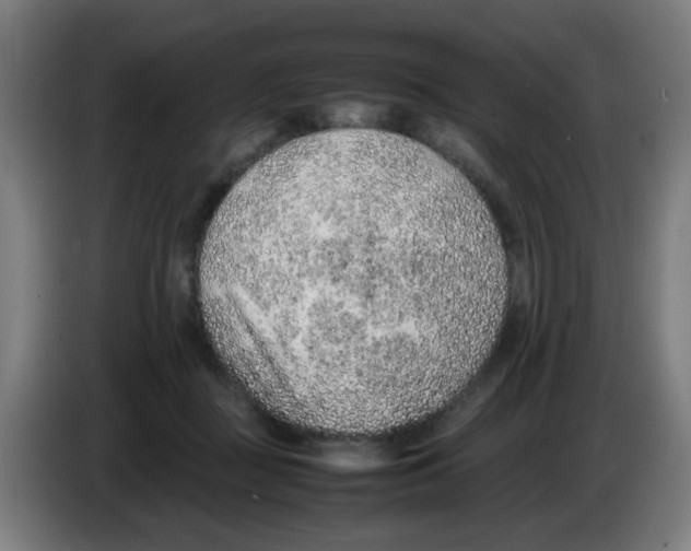 X0000086230363200704261901