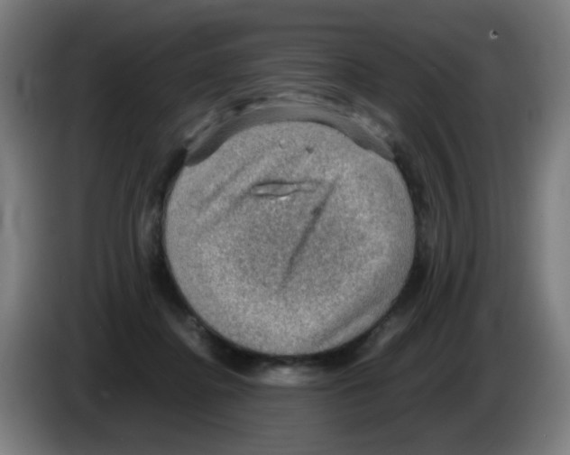 X0000086230364200704261901