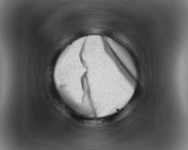 X0000086230366200704261901