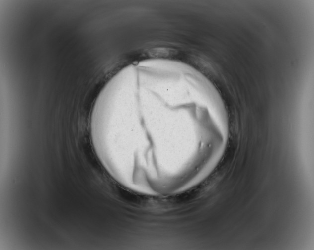 X0000086230367200704261901