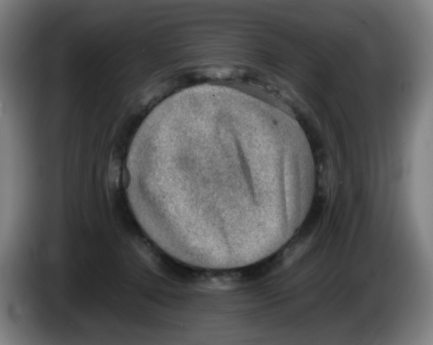 X0000086230368200704261901