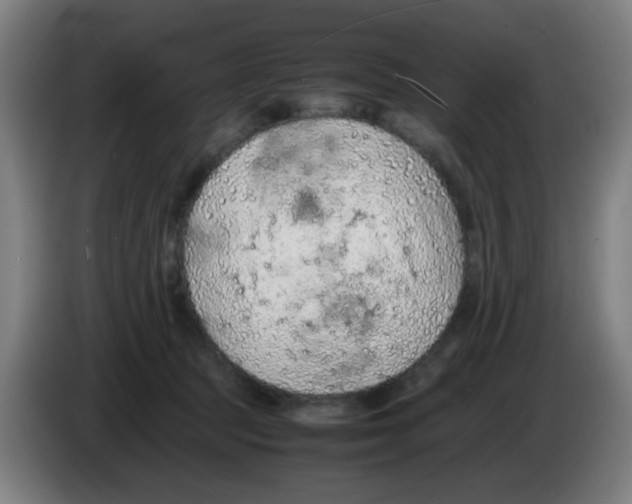 X0000086230369200704261901