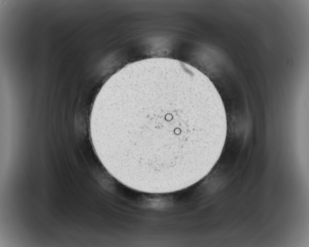 X0000086230370200704261901