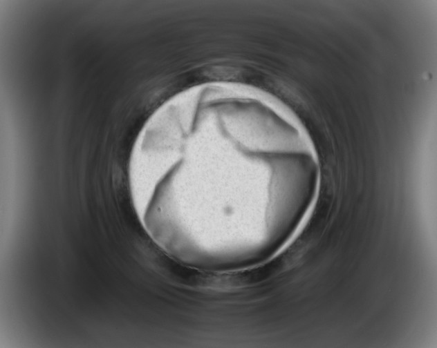 X0000086230371200704261901