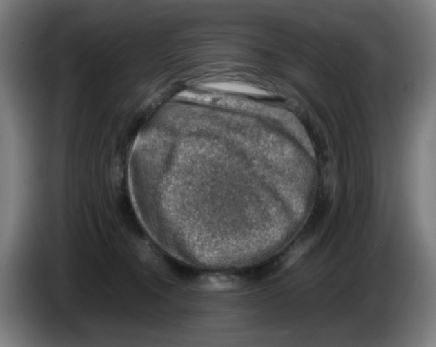 X0000086230372200704261901