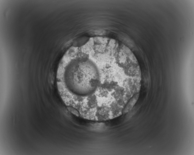 X0000086230374200704261901