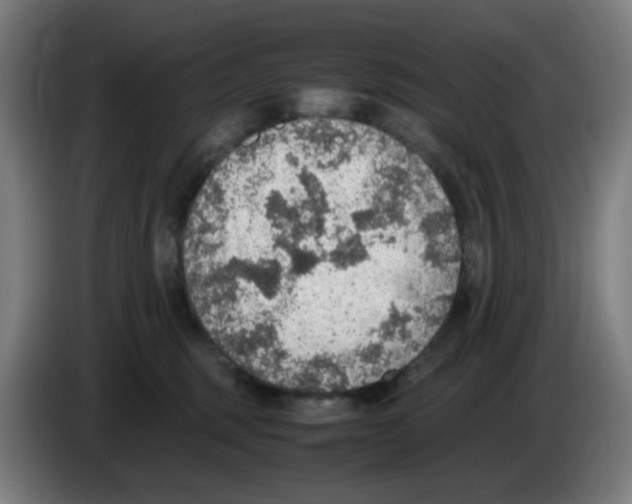 X0000086230375200704261901