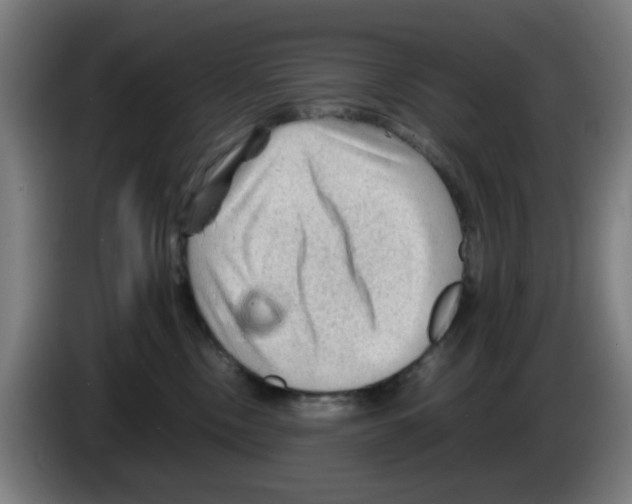 X0000086230378200704261901