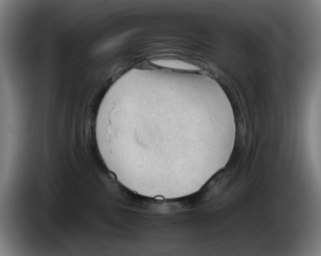 X0000086230379200704261901