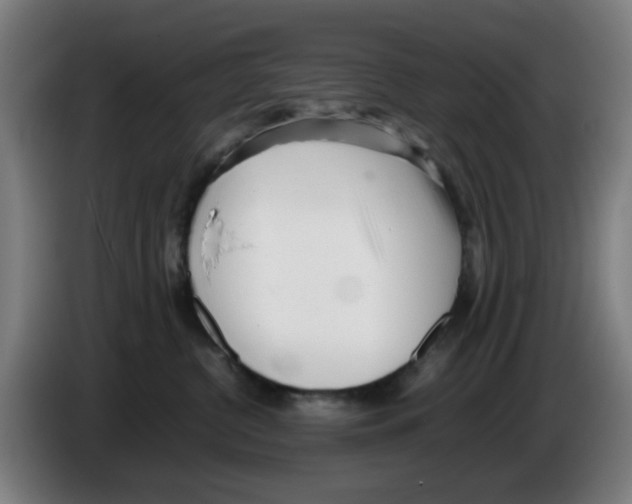 X0000086230380200704261901