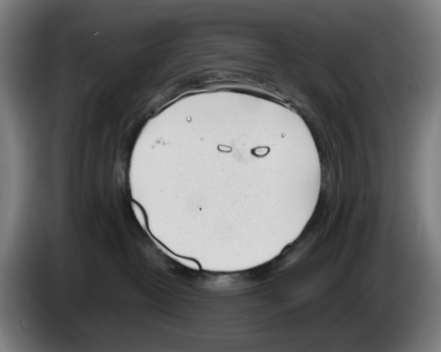 X0000086230382200704261901