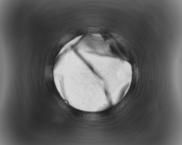 X0000086230383200704261901