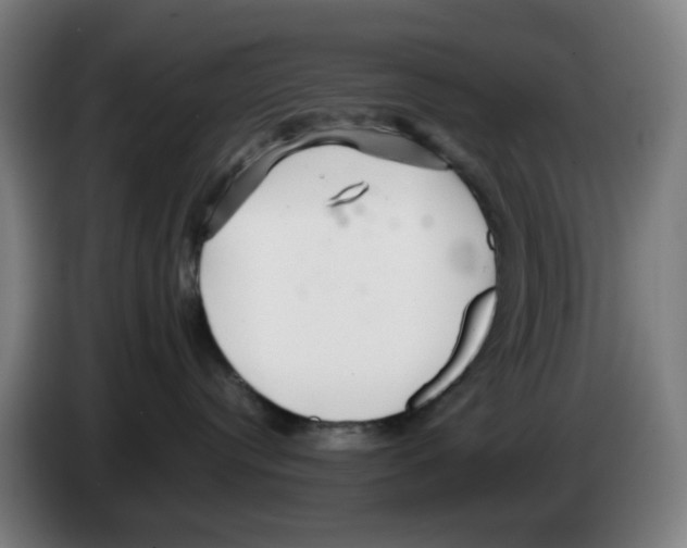 X0000086230384200704261901