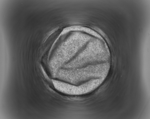 X0000086230385200704261900