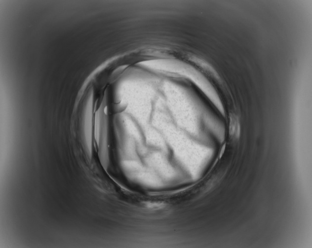 X0000086230388200704261900