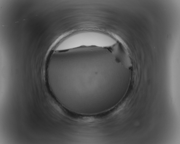 X0000086230391200704261900