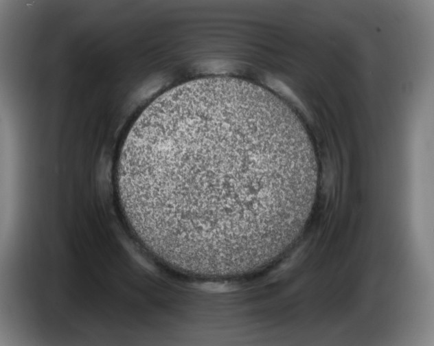 X0000086230394200704261900