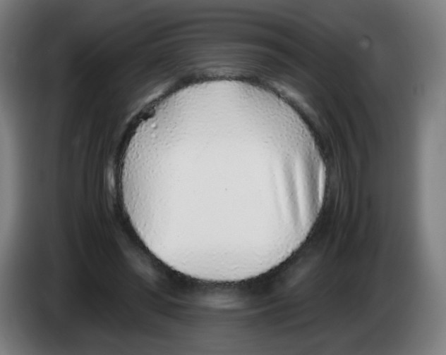 X0000086230398200704261900